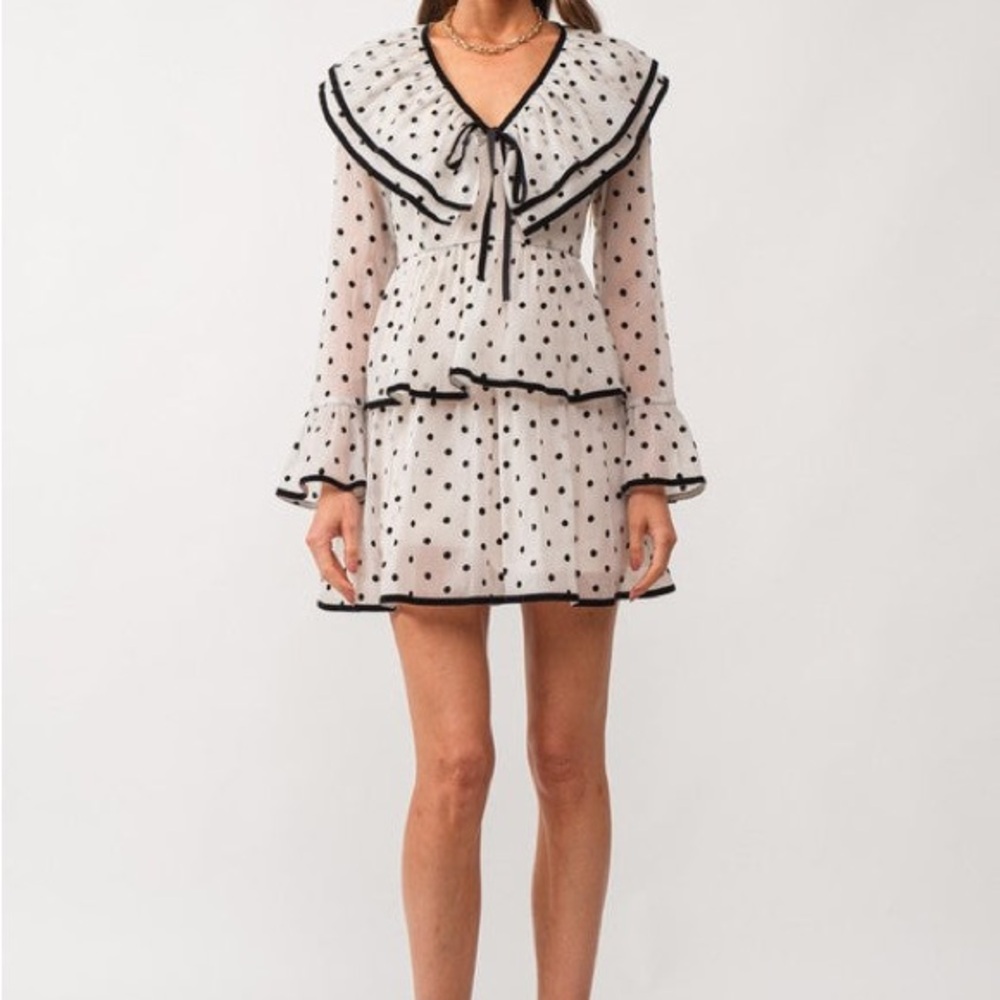 NWT Polka Dot Ruffle Dress